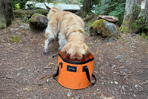 The Ultimate Folding Bucket for Camping, Beach, and Outdoor Adventures